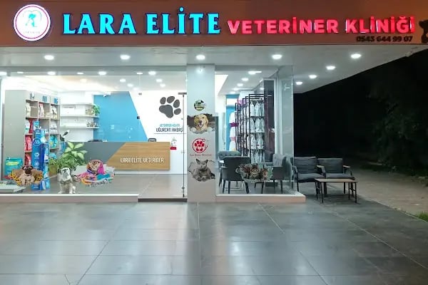 Lara Elite Veteriner Kliniği - Antalya Nöbetçi Veteriner - Ветеринарная клиника - Resim 3