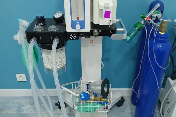 Lara Elite Veteriner Kliniği - Antalya Nöbetçi Veteriner - Ветеринарная клиника - Resim 15