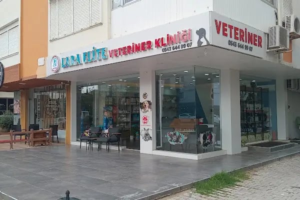Lara Elite Veteriner Kliniği - Antalya Nöbetçi Veteriner - Ветеринарная клиника - Resim 9