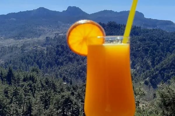 Aladağ teras cafe - Resim 3