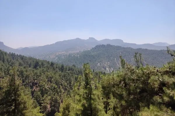 Aladağ teras cafe - Resim 12