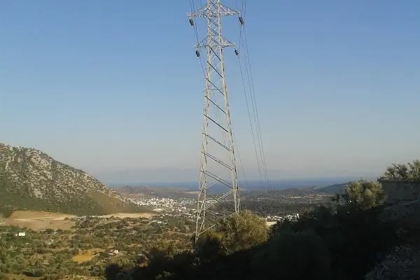 Türkmen Çiçekçilik - Resim 10