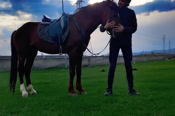 KAÜ Atlı Sporlar Kulübü - Resim 2