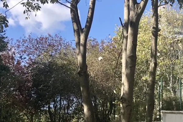 SBÜ Haydarpaşa Numune Eğitim ve Araştırma Hastanesi Sadık Eratik Göz Kliniği - Resim 17