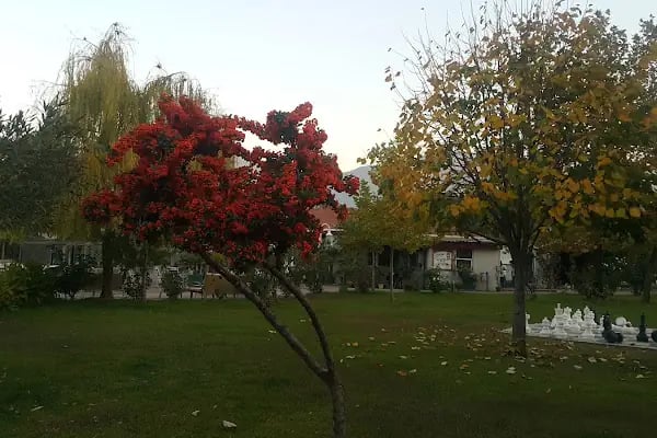 Manisa Tenis Dağcılık Spor Kulübü - Resim 7