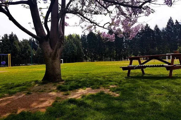 Manisa Tenis Dağcılık Spor Kulübü - Resim 2