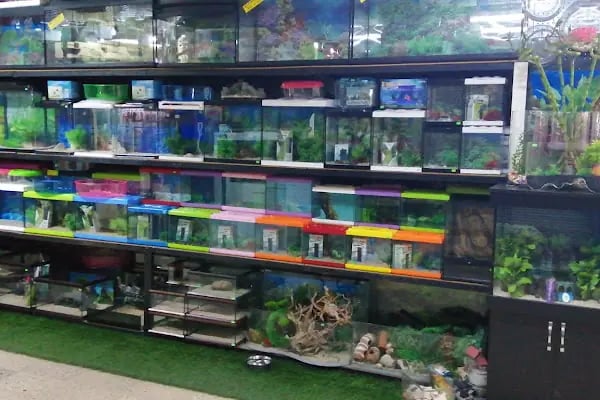 Caretta Pet Shop - Resim 19
