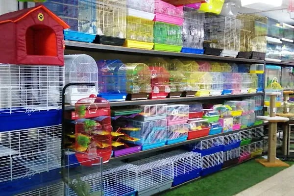 Caretta Pet Shop - Resim 7