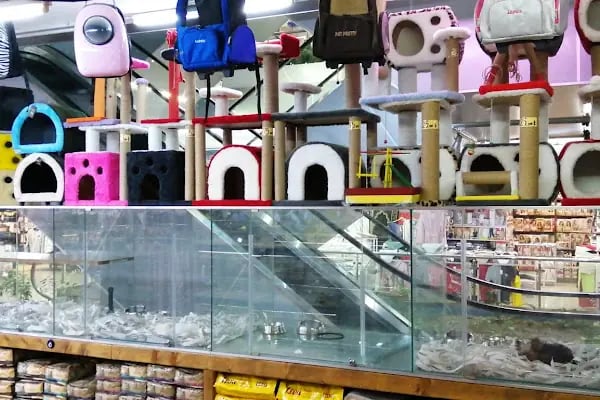 Caretta Pet Shop - Resim 18