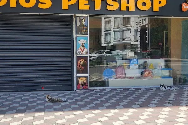 Dios Petshop - Resim 16
