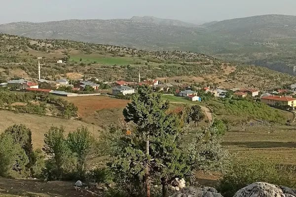 Avdan İlkokulu - Resim 3