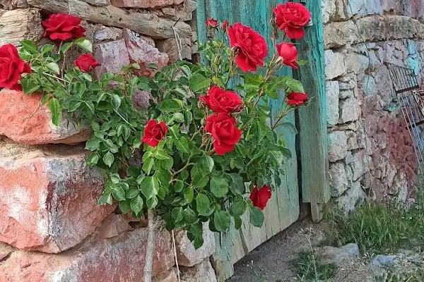 Avdan İlkokulu - Resim 2