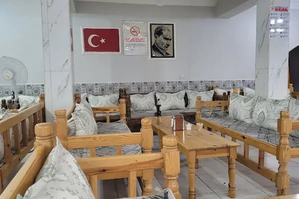 Eco Ciğer - Resim 2