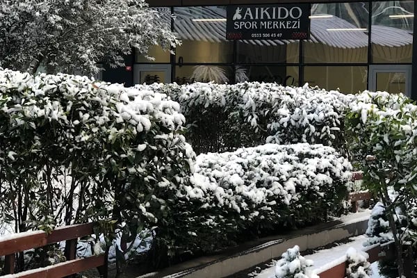 Aikido spor merkezi (Agatsudojo) - Resim 9