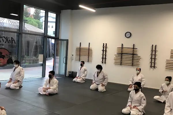 Aikido spor merkezi (Agatsudojo) - Resim 5