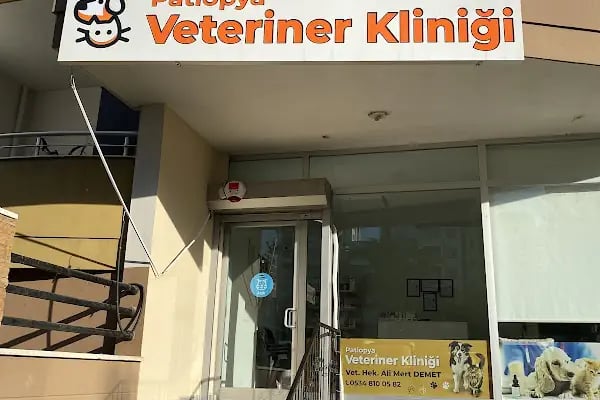 Patiopya veteriner kliniği - Resim 6
