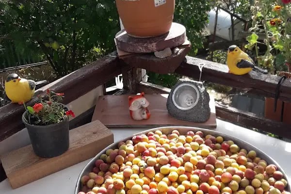 Çamlıdere Halk Eğitim Merkezi - Resim 4