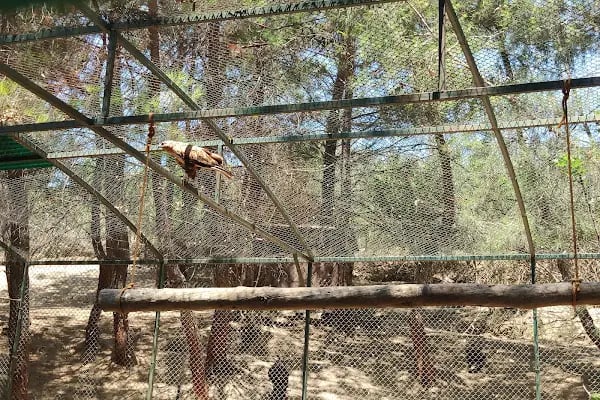 Animal park - Resim 8