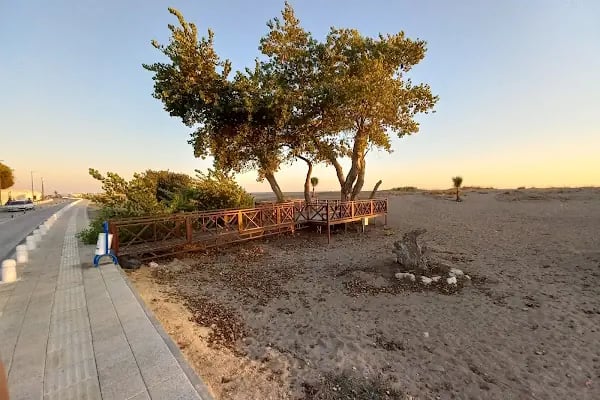 Sorgun Halk plajı - Resim 8