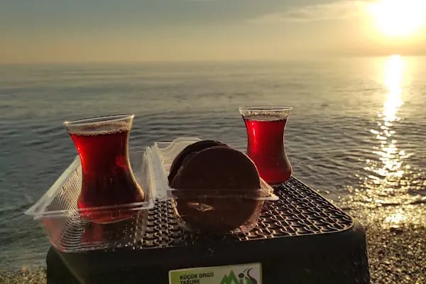 Sorgun Halk plajı - Resim 17