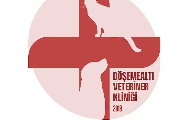 DÖŞEMEALTI VETERİNER KLİNİĞİ - Resim 4