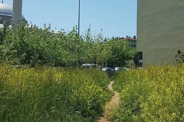 Ferhatpaşa Merkez Cami - Resim 20
