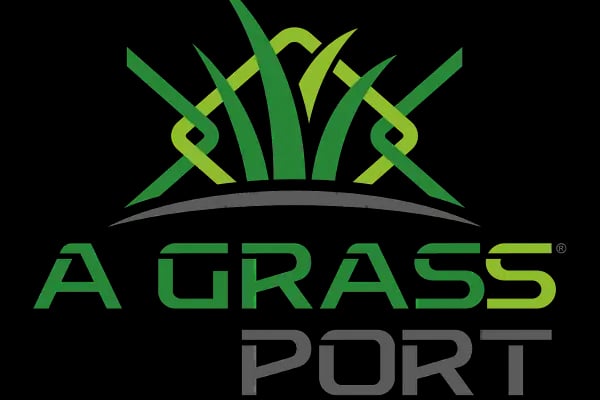 Agrass Port Spor Malzemeleri Üretim Spor Saha Zemin Uygulamaları ve Halısaha Yapımı - Resim 7