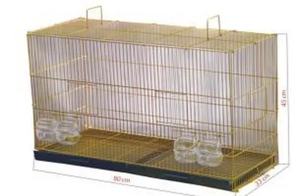 Canser Pet Market - Resim 10