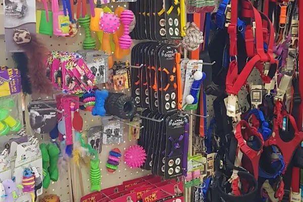 Bodrum Tarım Market ve Petshop - Resim 6