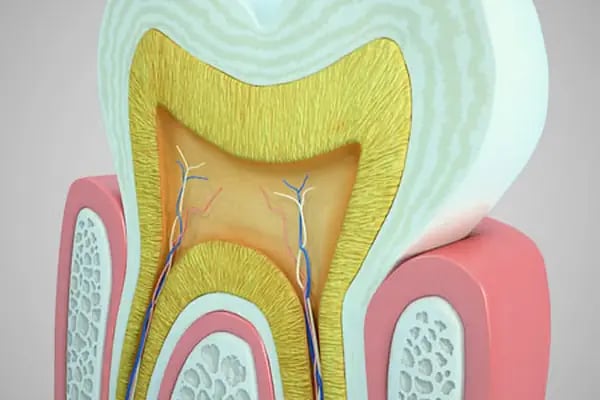 Özel Gap Dental Ağız ve Diş Sağlığı Polikliniği - Resim 4