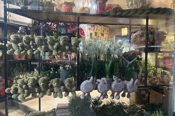 Alp-Yaz Çiçekçilik - Resim 15