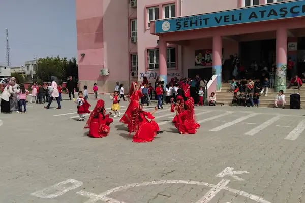 Sehit Veli Atasci ilkokulu - Resim 2