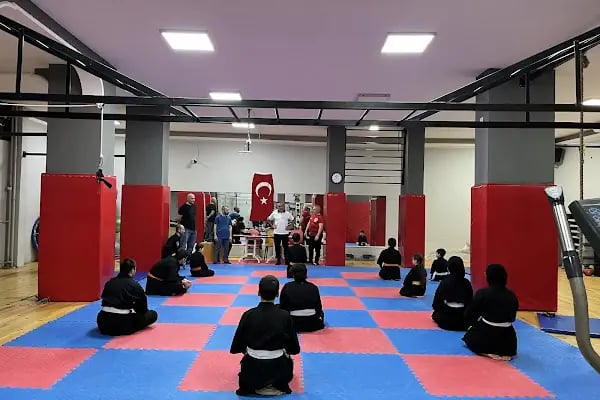 Sporsium kempo savunma sanatları - Resim 2