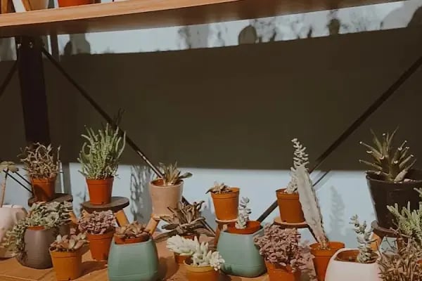 Çiçekçim Çiçekçilik - Resim 10