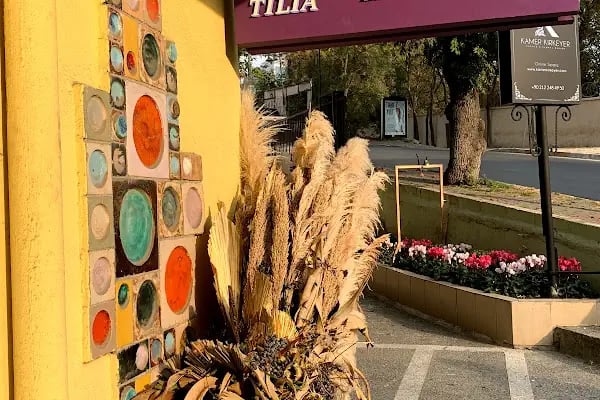 Tilia Veteriner Klinigi - Resim 6