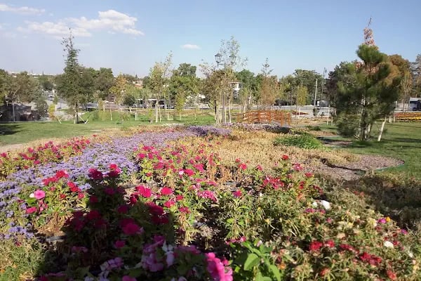 KONYA MERAM BAĞLARI - Resim 5