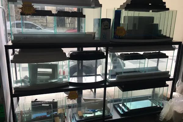 AS Petshop - Resim 6