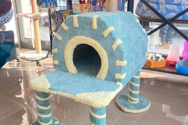 AS Petshop - Resim 4