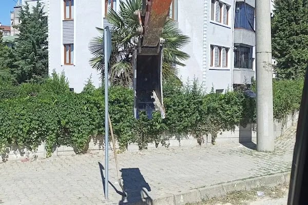 Arı Sitesi - Resim 11