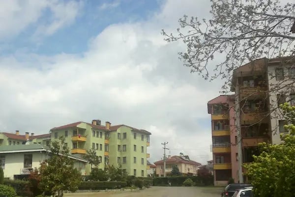 Arı Sitesi - Resim 12