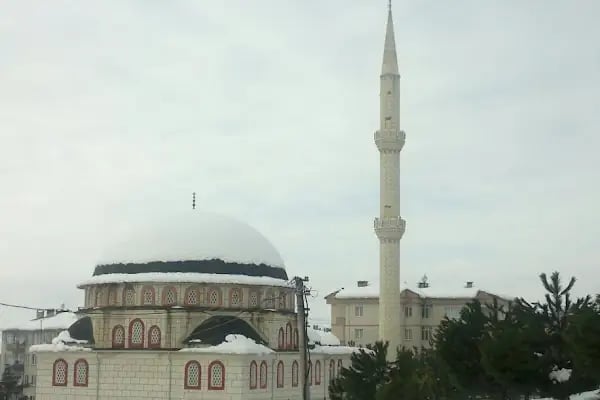 Arı Sitesi - Resim 7
