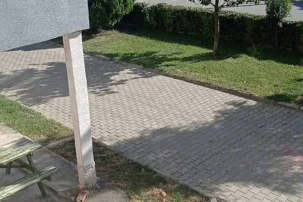 Arı Sitesi - Resim 4