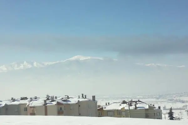 Arı Sitesi - Resim 6