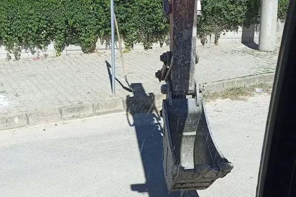 Arı Sitesi - Resim 14