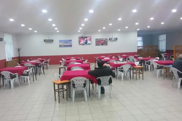 Arı Sitesi - Resim 9