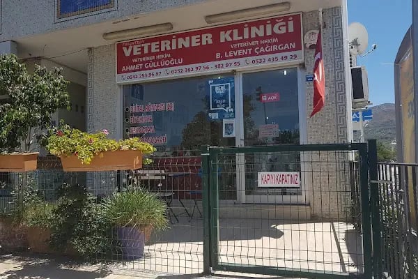 Turgutreis Veteriner Kliniği - Resim 1