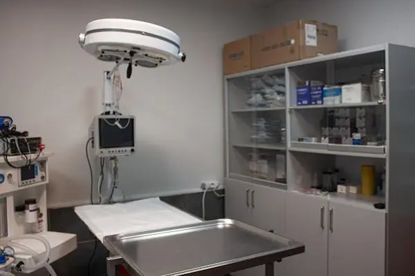 Turgutreis Veteriner Kliniği - Resim 10