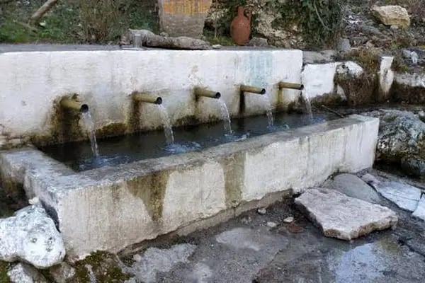 Ceylanpınarı Dinlenme Aile Havuzları karavan kanp alanları ve akuvapark &amp; At 🐎 binim hizmetleri - Resim 19