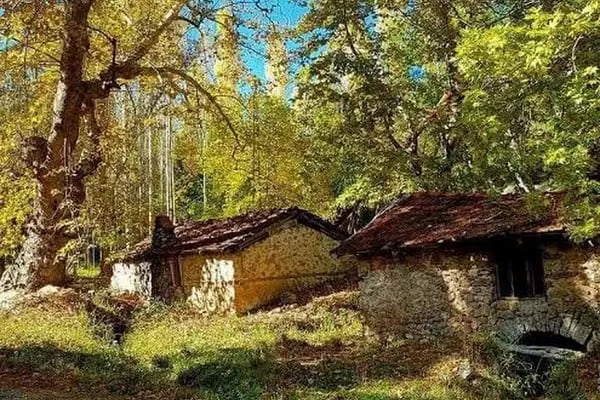 Ceylanpınarı Dinlenme Aile Havuzları karavan kanp alanları ve akuvapark &amp; At 🐎 binim hizmetleri - Resim 12