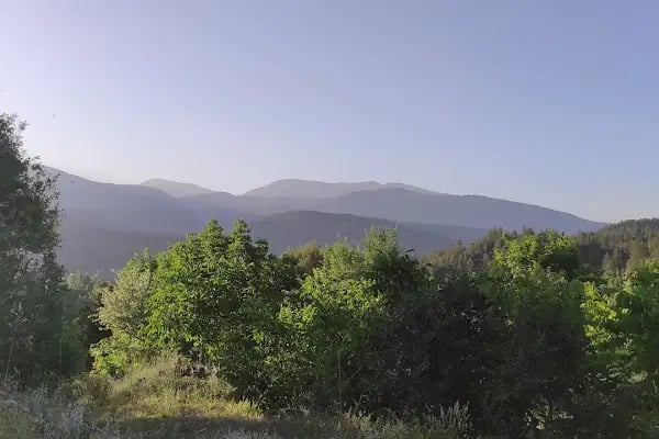 Ceylanpınarı Dinlenme Aile Havuzları karavan kanp alanları ve akuvapark &amp; At 🐎 binim hizmetleri - Resim 18
